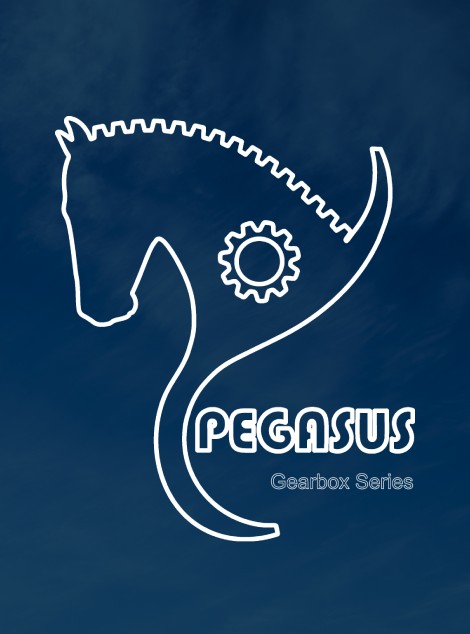 Pegasus <br> . . . <br> ساخت ایران